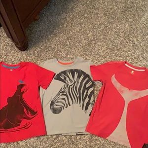 Boys Tea Collection size 7 shirts